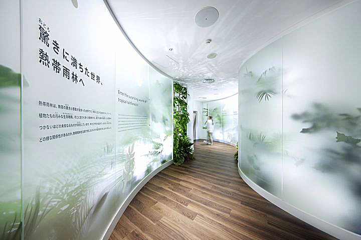 展示1