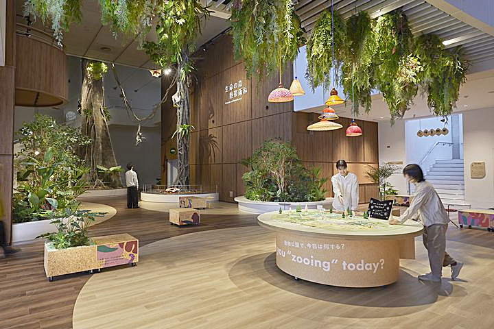展示3