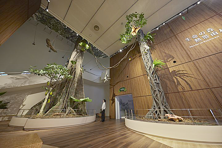 展示4